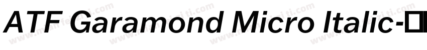 ATF Garamond Micro Italic字体转换
